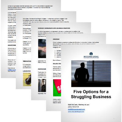 Five Options for a Struggling Business Five Options for a Business Struggling with Debt